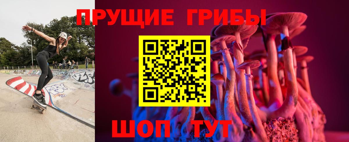 Саранск  Галлюциногенные грибы мицелий  закладка  Псилоцибиновые грибы GOLDEN TEACHER  Вход с VPN 